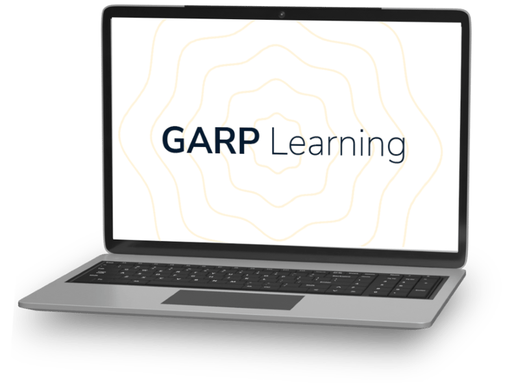 Garp Rai Logo RAI Japan | GARP