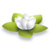 6_Wellness Focused