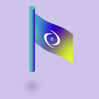 FRM_Flag