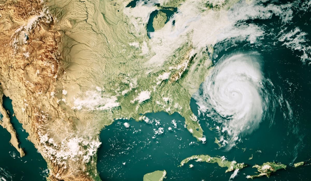 risk professionals-guide