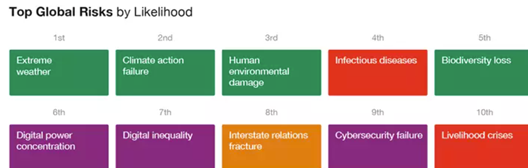 Top Global Risks by Likelihood