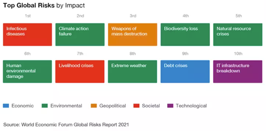 Top Global Risks by Impact