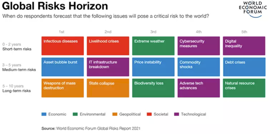 Global Risk Horizons