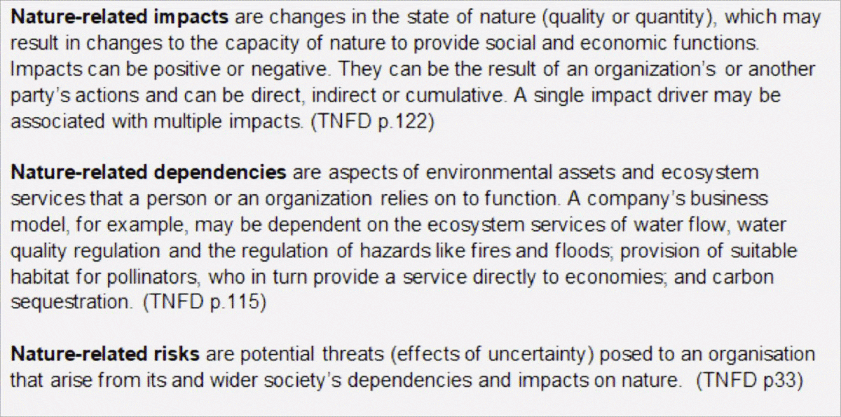 Directors Beware: Director Duties and Nature Risks