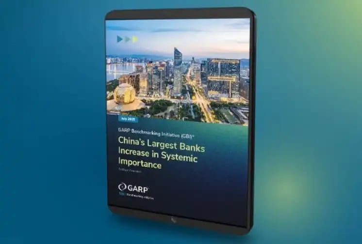 white-paper-chinas-largest-bank-increase