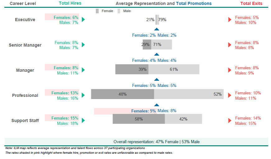 Internal Labor Market Map on Financial Services Organizations